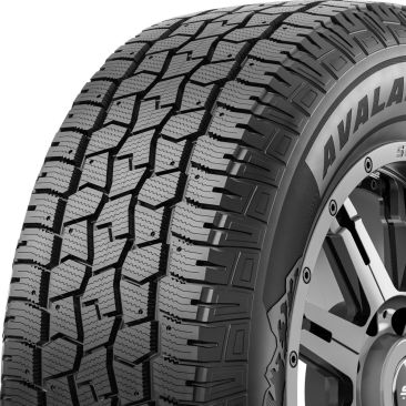 Hercules Avalanche TT  Winter Studdable